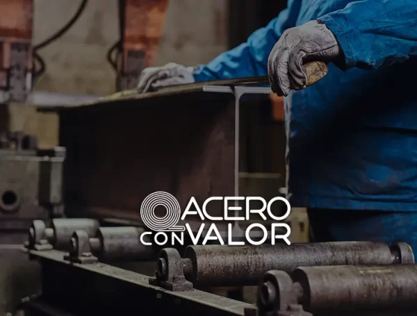 La Carrera hacia el Fondo: Mitos y Realidades de los Costos y Márgenes