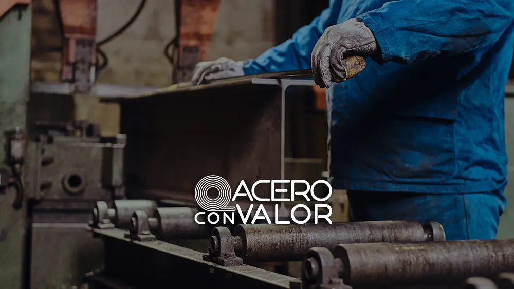 La Carrera hacia el Fondo: Mitos y Realidades de los Costos y Márgenes